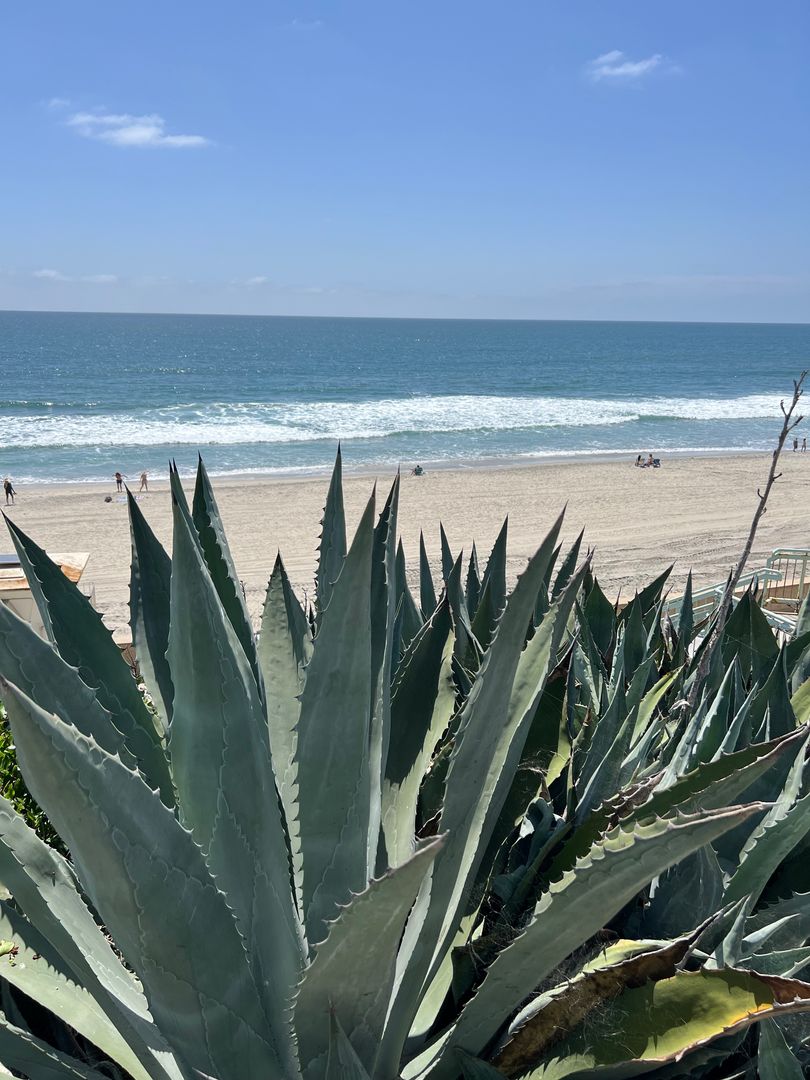 Carlsbad Apartment: 252 Acacia Avenue