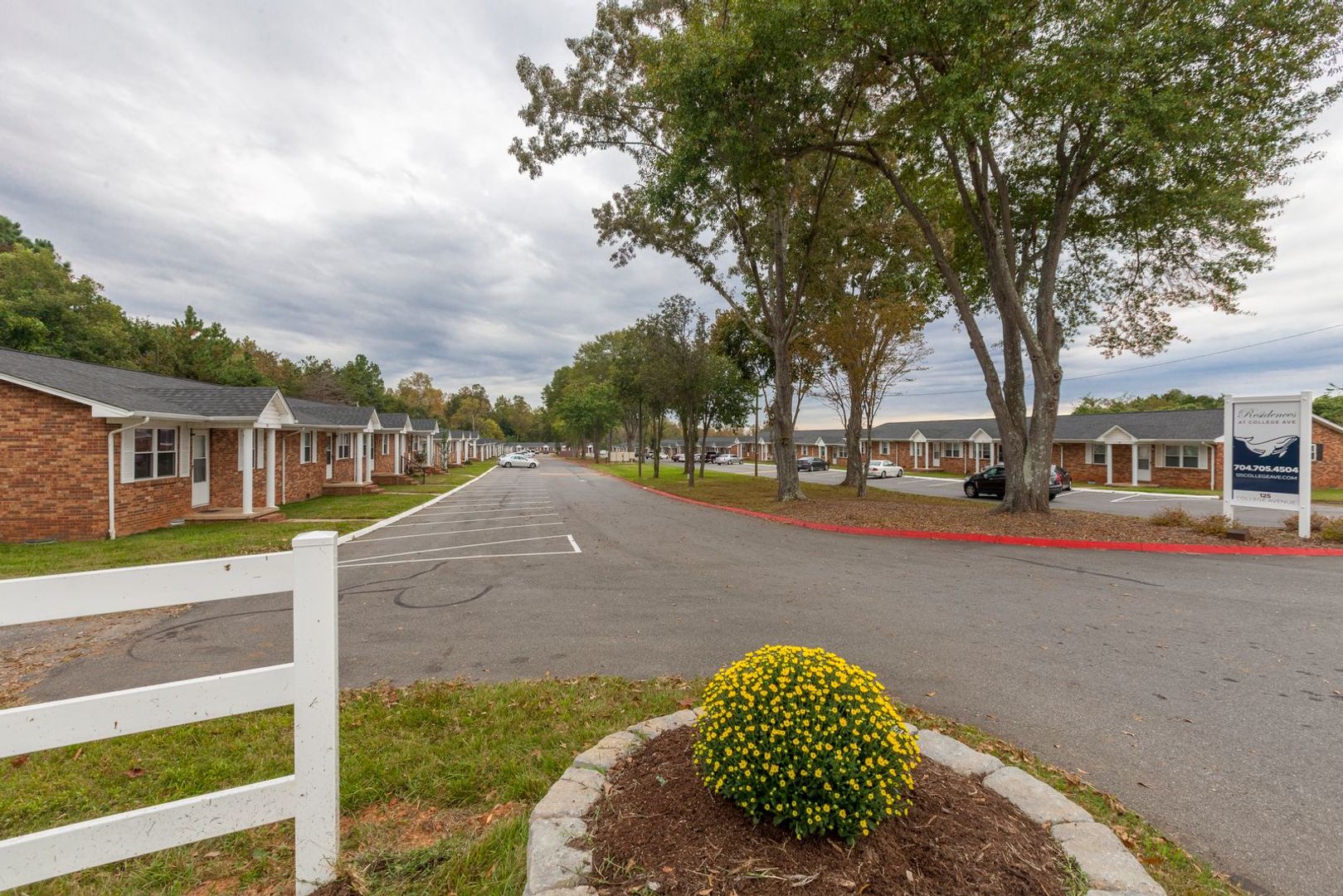 Shelby Apartment: 125 College Avenue