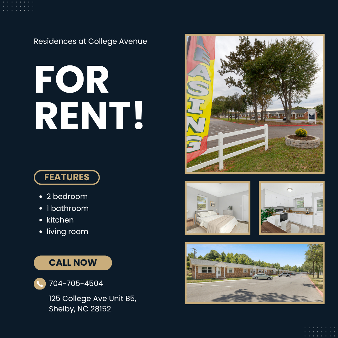 Shelby Apartment: 125 College Avenue