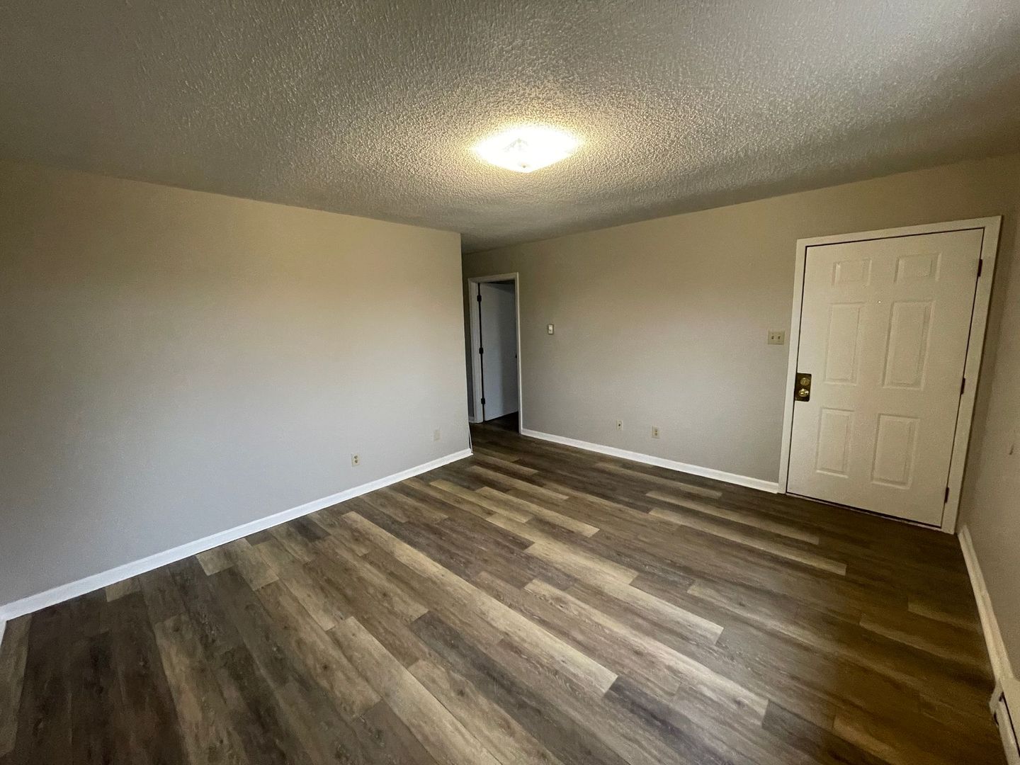 Shelby Apartment: 508 Blanton Street