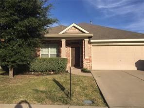 Little Elm House: 317 Parakeet Drive