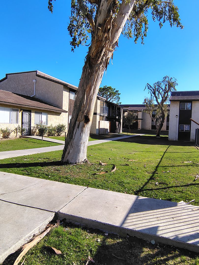 College View Apartments 13 of 44