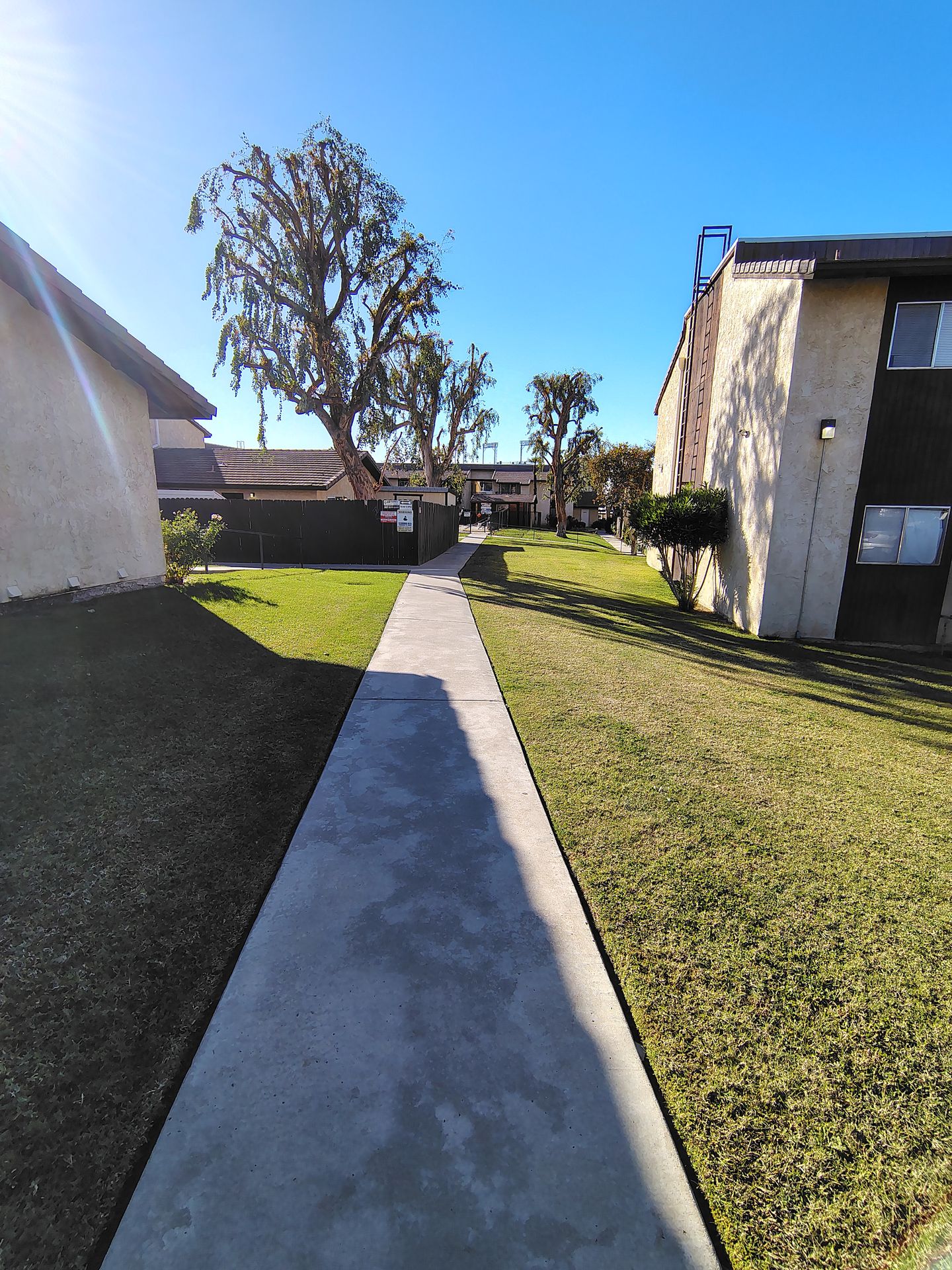 College View Apartments 25 of 44