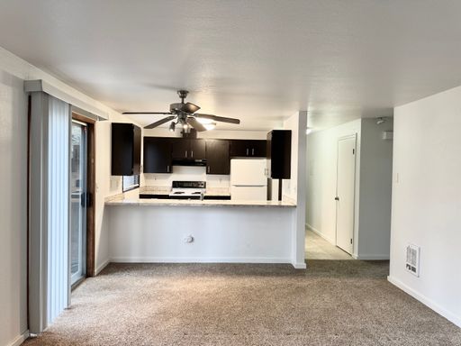 Reduced Rent in this Beautiful fully fenced backyard, shed and additional storage under the stairs included. Water/Sewer/Garbage Included! – photo 1