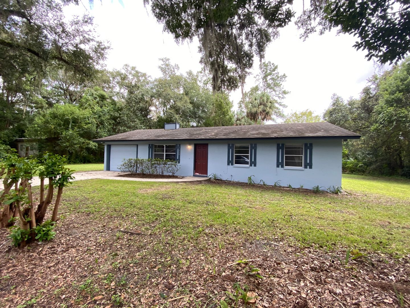 MICANOPY House: 253 NW 3 Ave