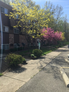 4751 APT 6 Oberlin Ave. – photo 1