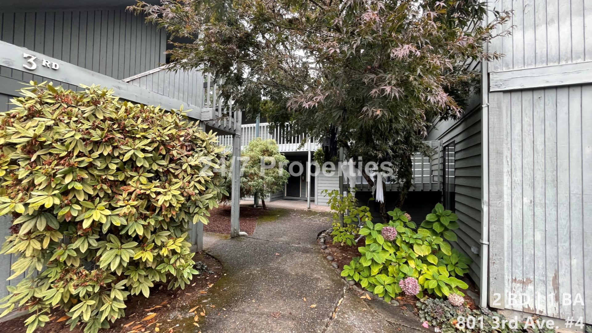 Oregon City Apartment: 801 3rd Avenue - Unit 4