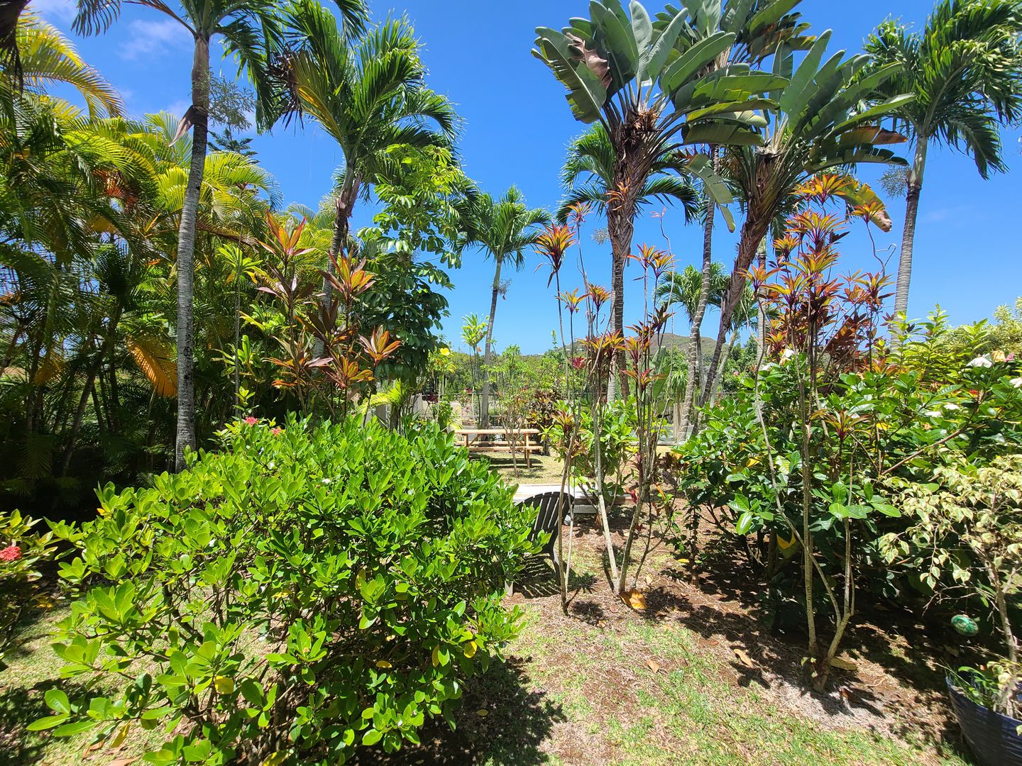 Kailua Townhome: 42-102 Aleka Place, Unit B