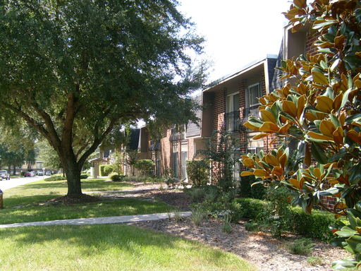 Free Parking! WALK to UF and Shands – photo 1