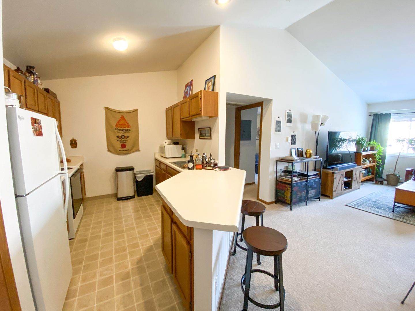 Ames Apartment: 802 6th Street
