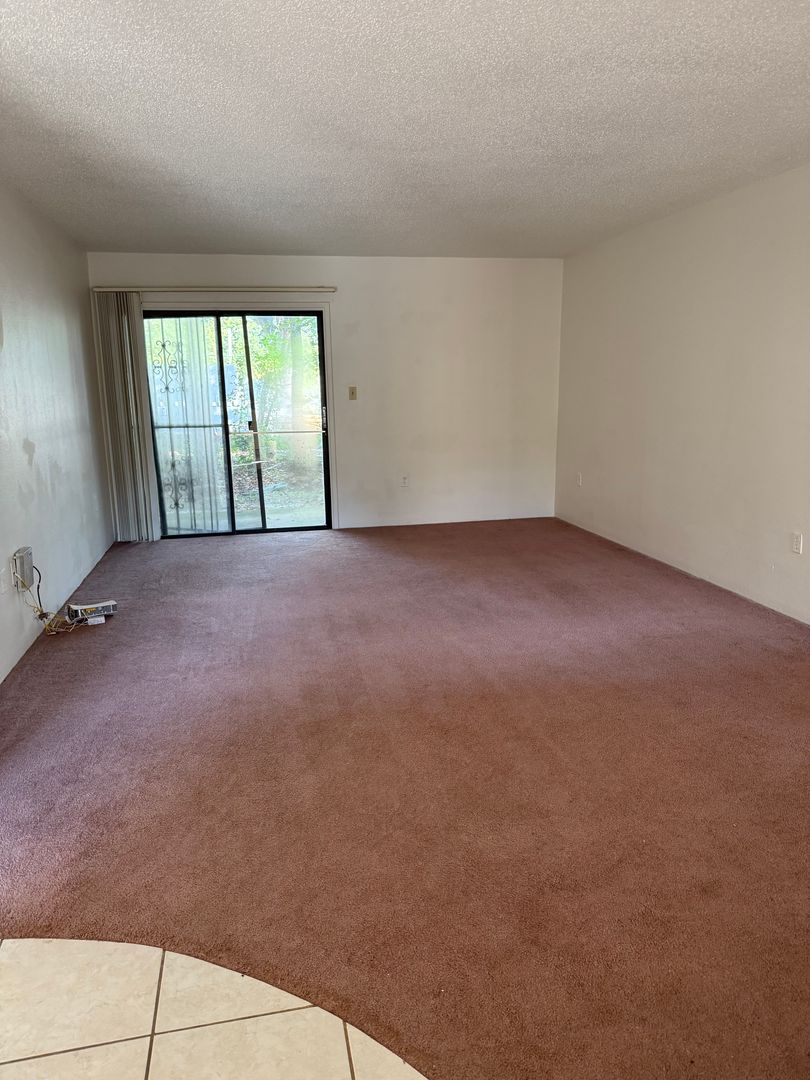 LEASE NOW AND ENJOY 50% OFF 2ND MONTH! Spacious 876 SF Unit - 1 bd / 1 ba near UF - Brandywine Condos