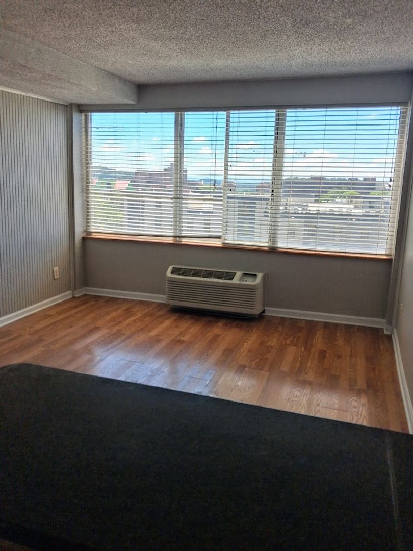 Knoxville Condo: 1700 Clinch Ave