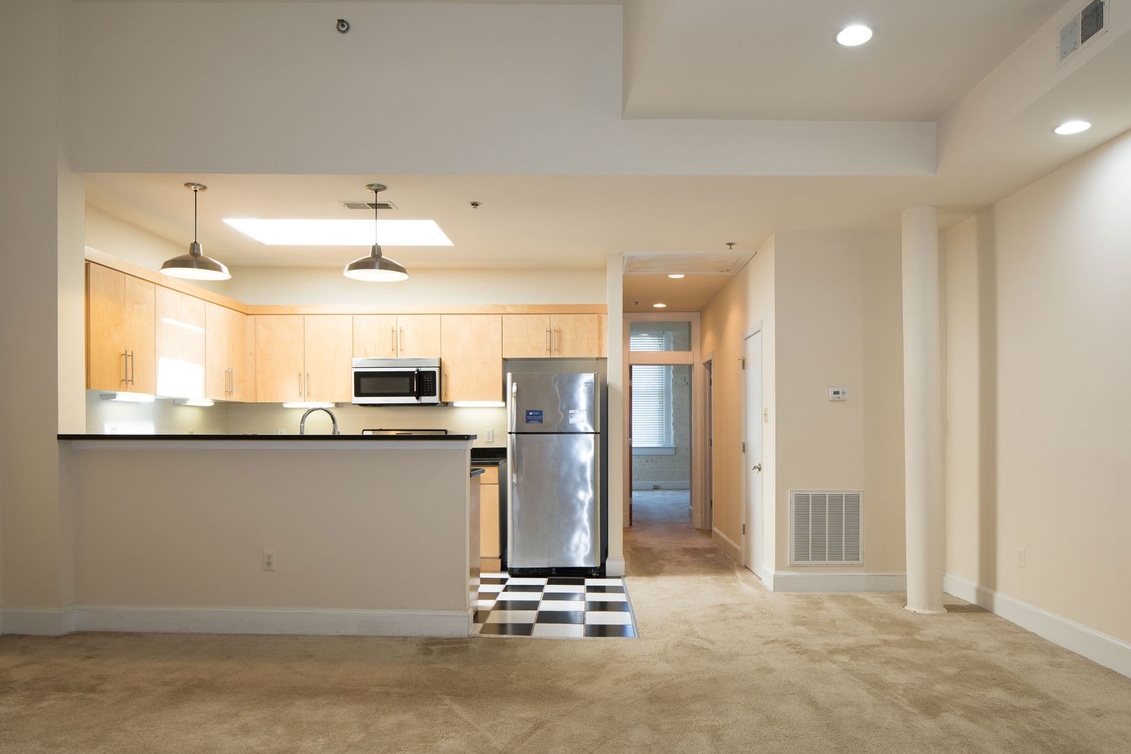 Richmond Apartment: 115 W Broad St