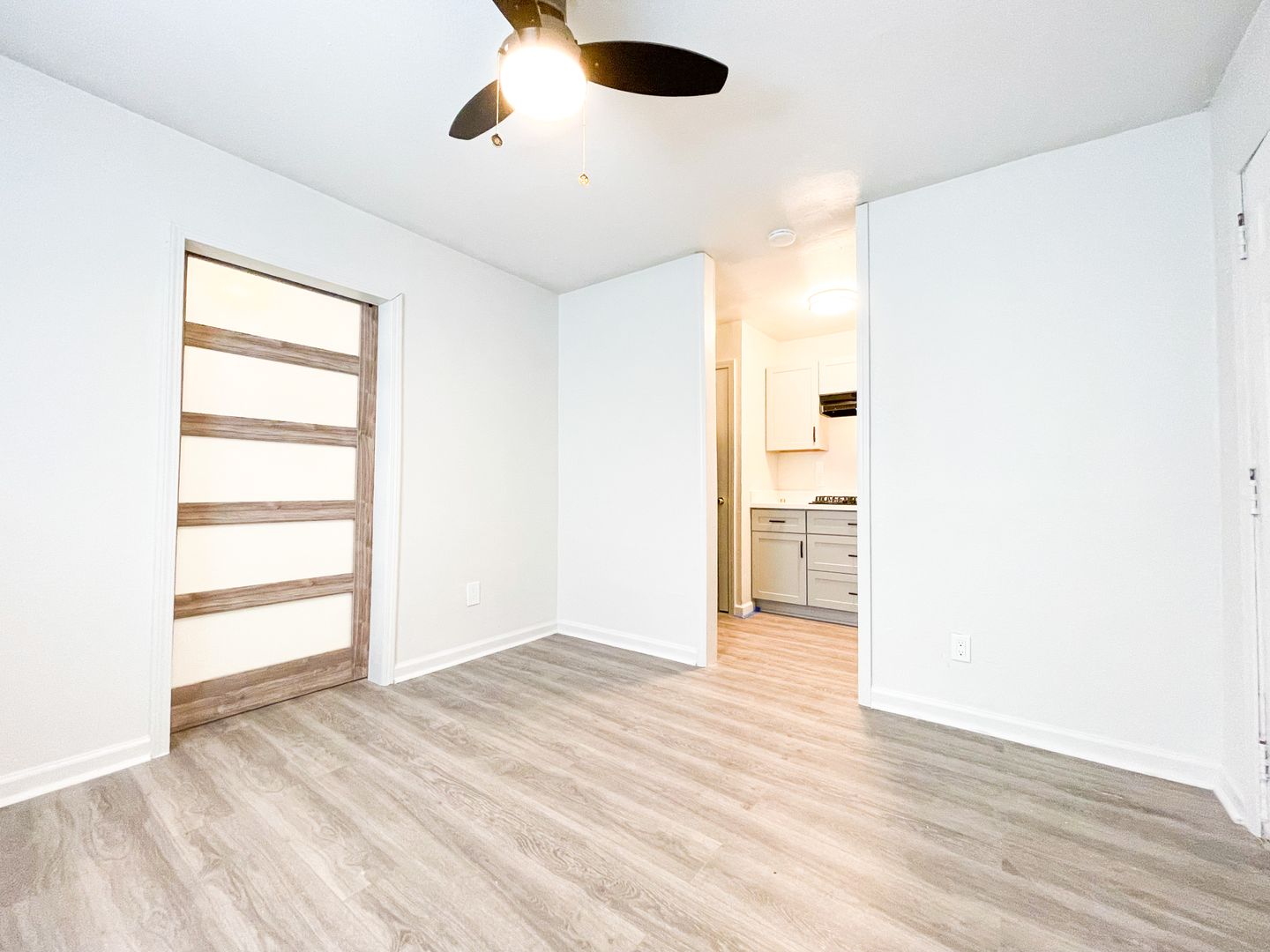 New Orleans Apartment: 2114 Toledano Street