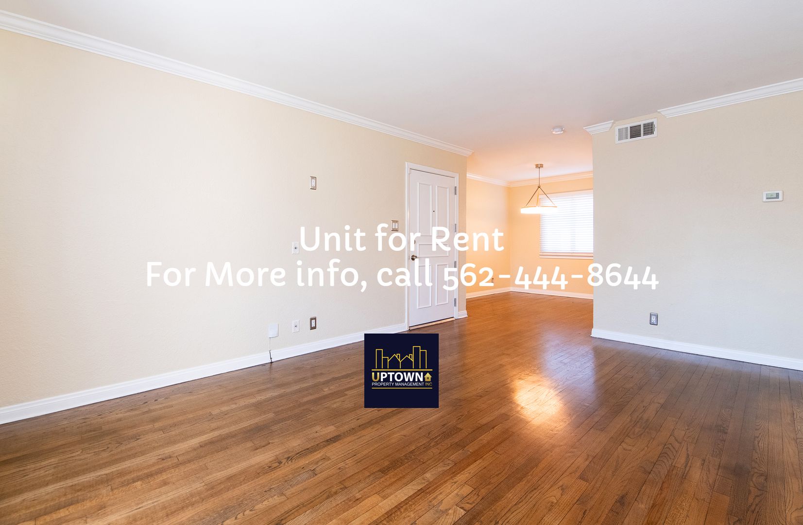 Los Angeles Multiplex: 2115-2117 103rd Pl