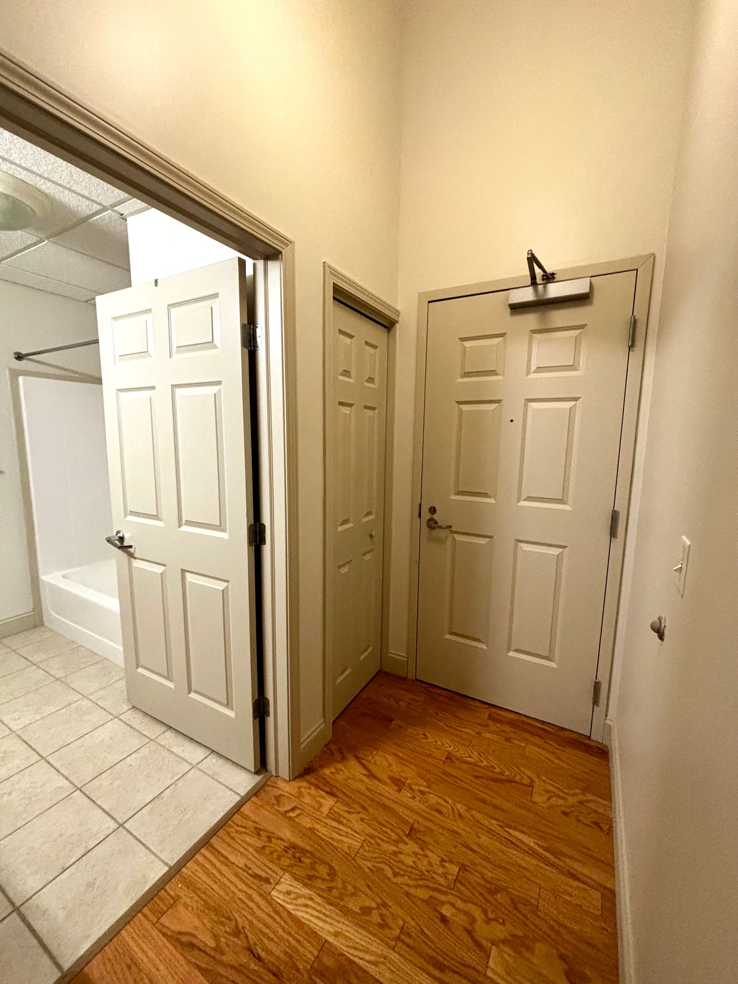 Beautiful Downtown Apartment 12 of 12