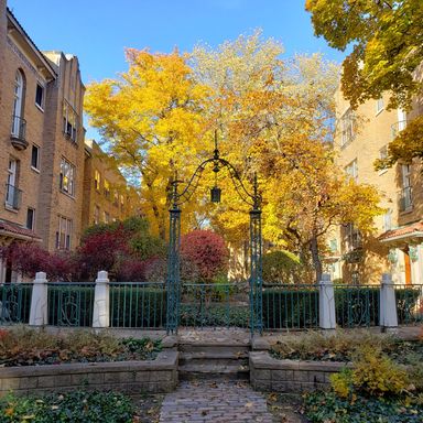 Edgewater Studio with Heat & Cooking Gas Included ~ No Security Deposit ~ Cat Friendly! – photo 1