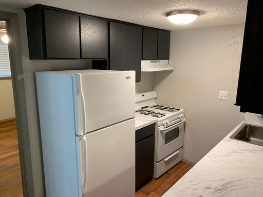 1 Bedroom 1 Bath. Best Prices in South Austin! – photo 1