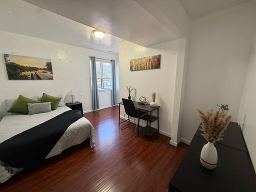 Spacious Furnished Guy Room Downtown ASAP