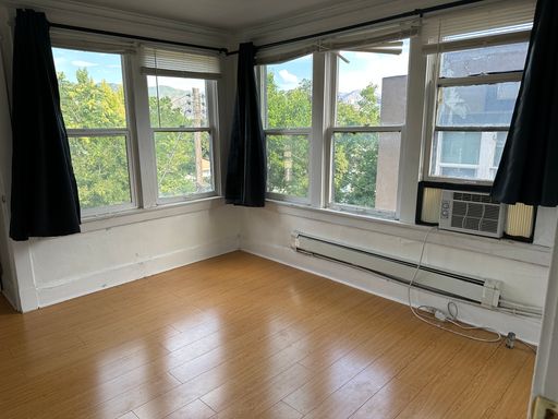Spacious Avenue Guy Room - windows galore and amazing views!