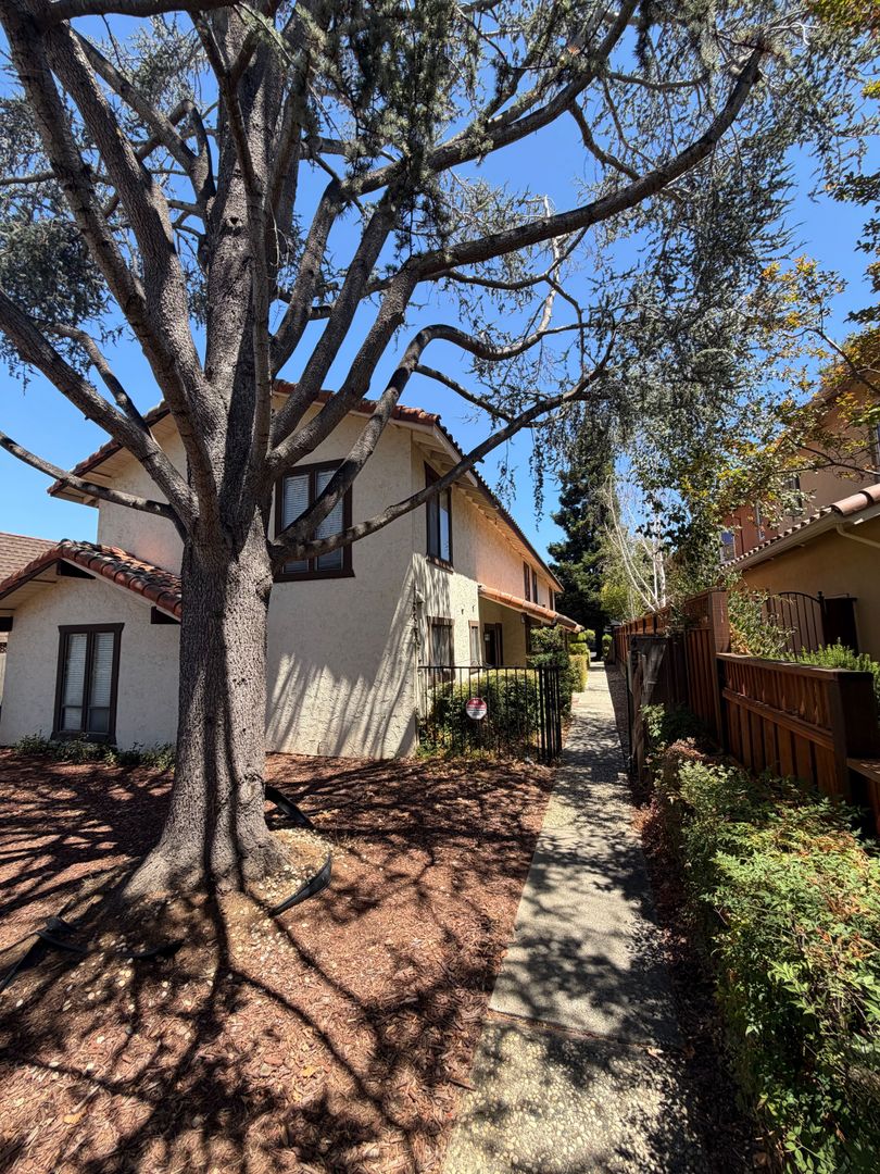 Los Altos House: 457 Tyndall St