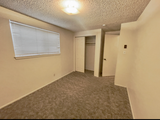 Palmer Apartments - 12 – photo 1