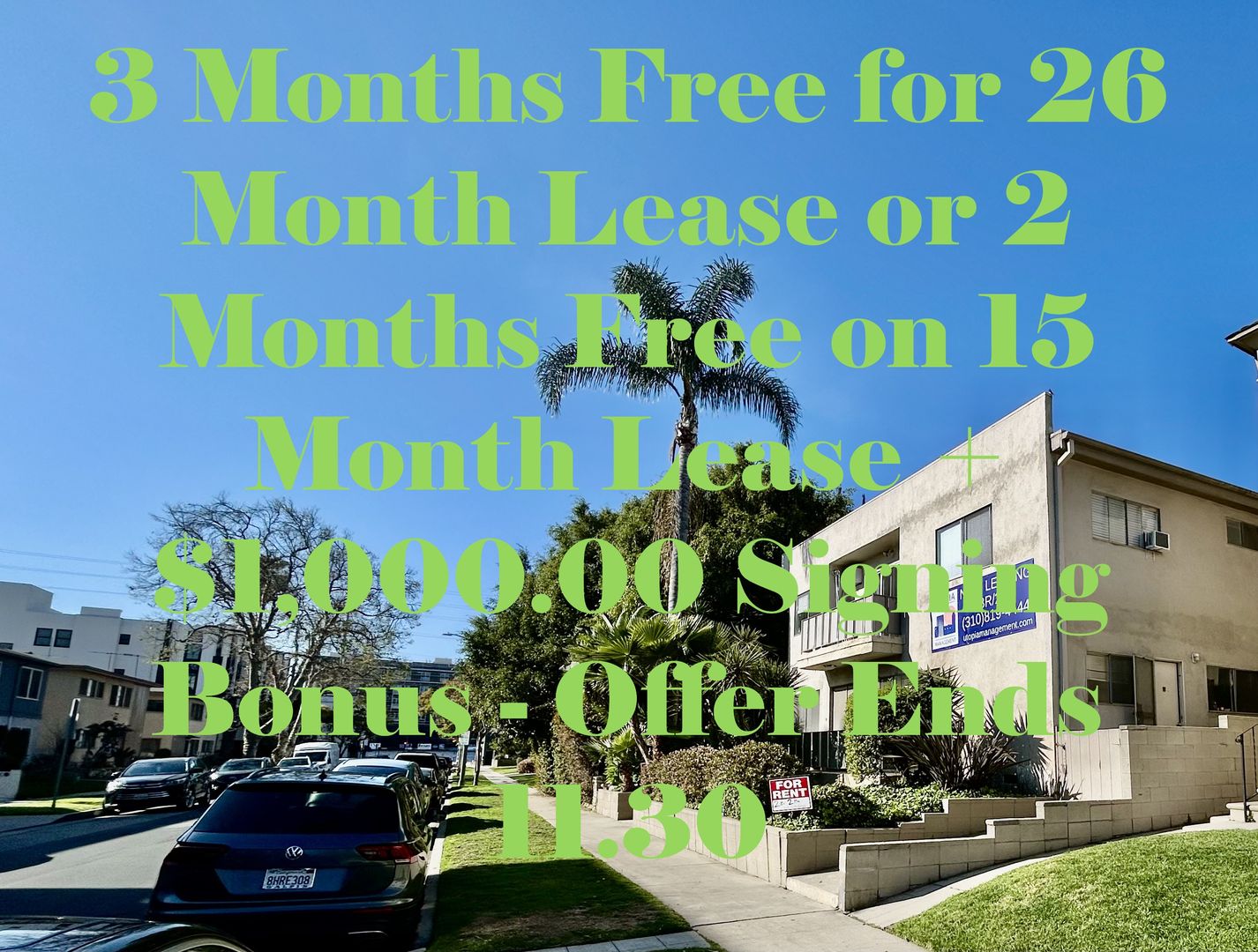 Los Angeles Apartment: 1115 Glenville Dr