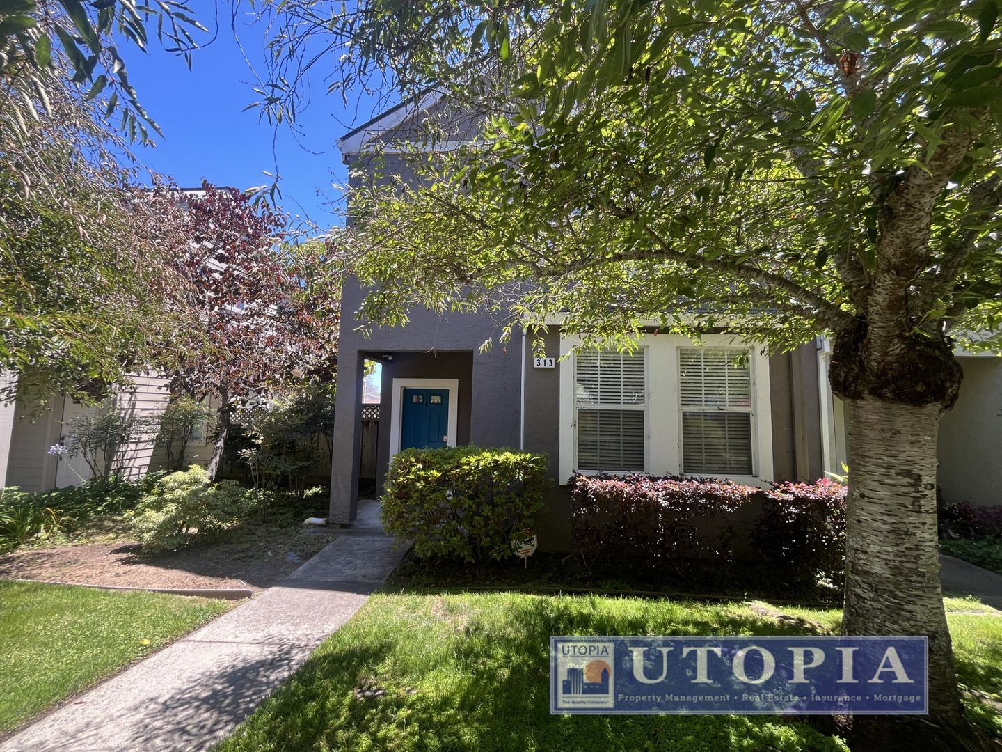 Santa Cruz House: 313 Village Circle