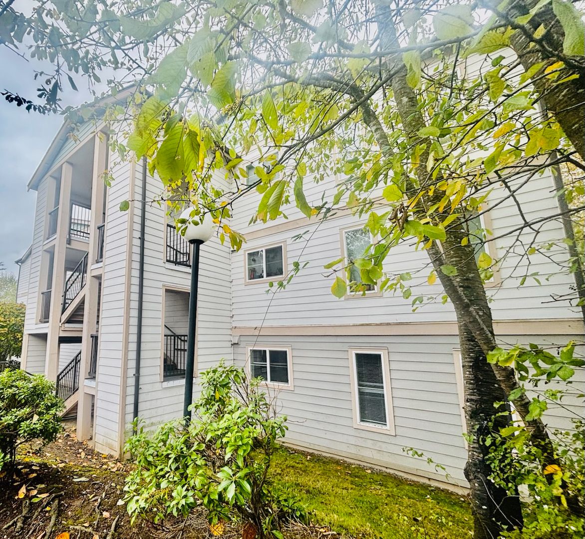 Bellingham Apartment: 4018 Northwest Avenue