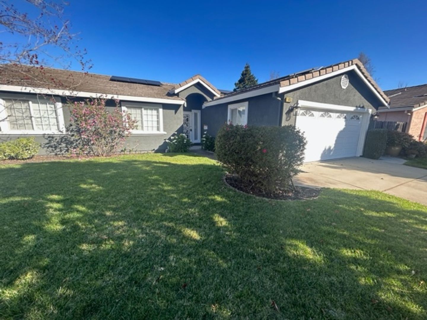San Leandro House: 1803 Boxwood Ave