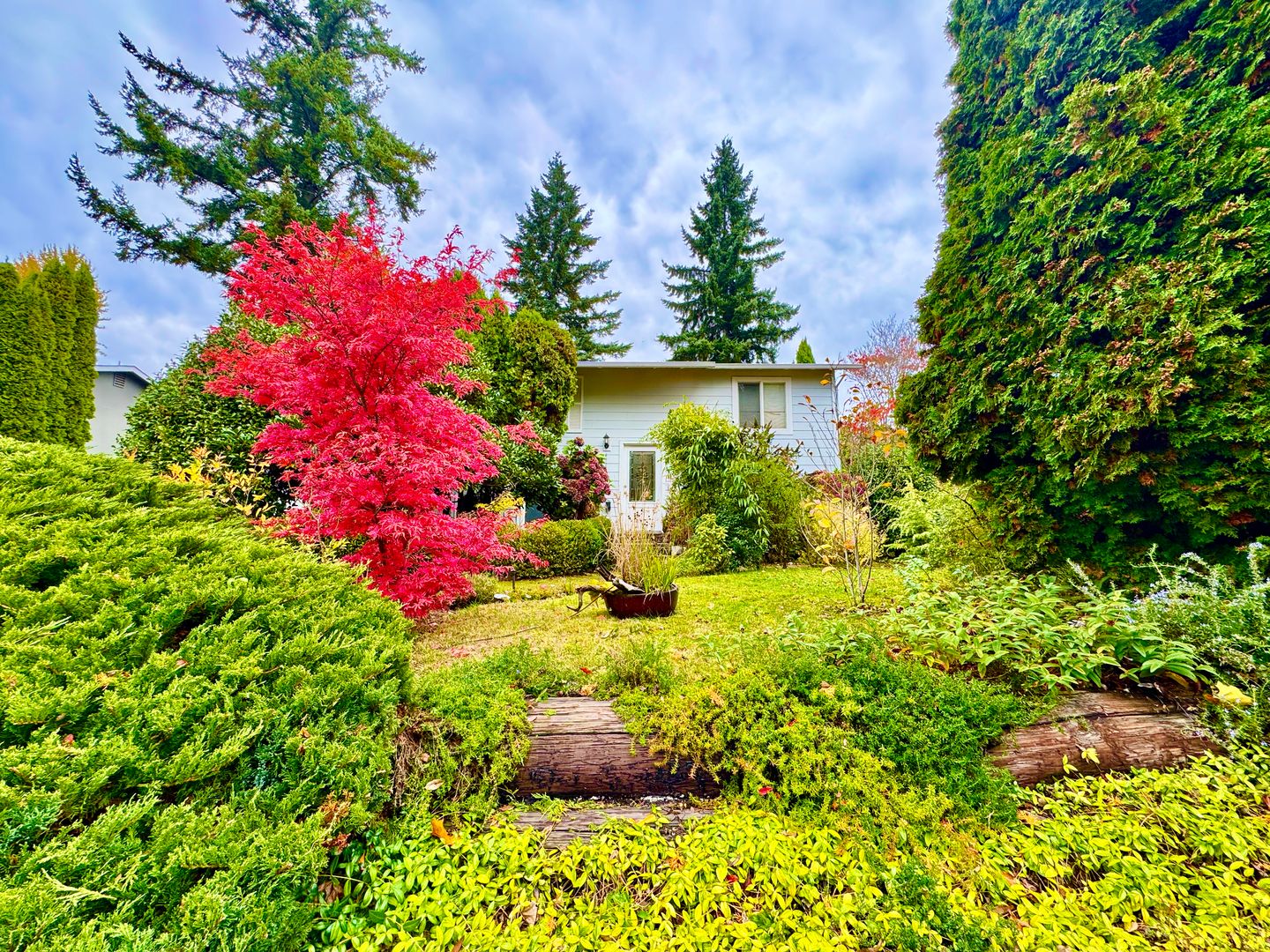 Renton House: 19422 141st Ave SE