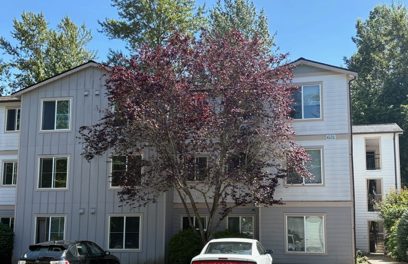 Bellingham Apartment: 4018 Northwest Avenue