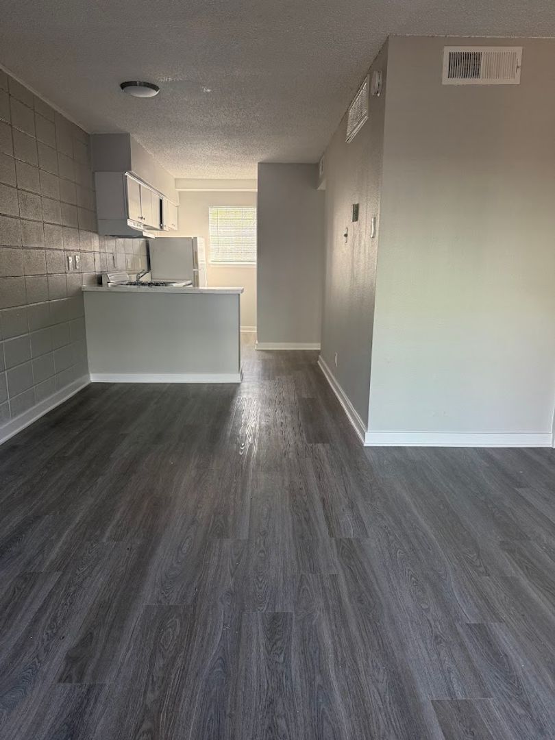 Austin Apartment: 307 & 311 East 31st