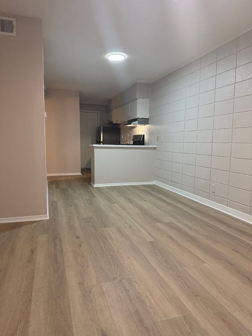 Austin Apartment: 307 & 311 East 31st