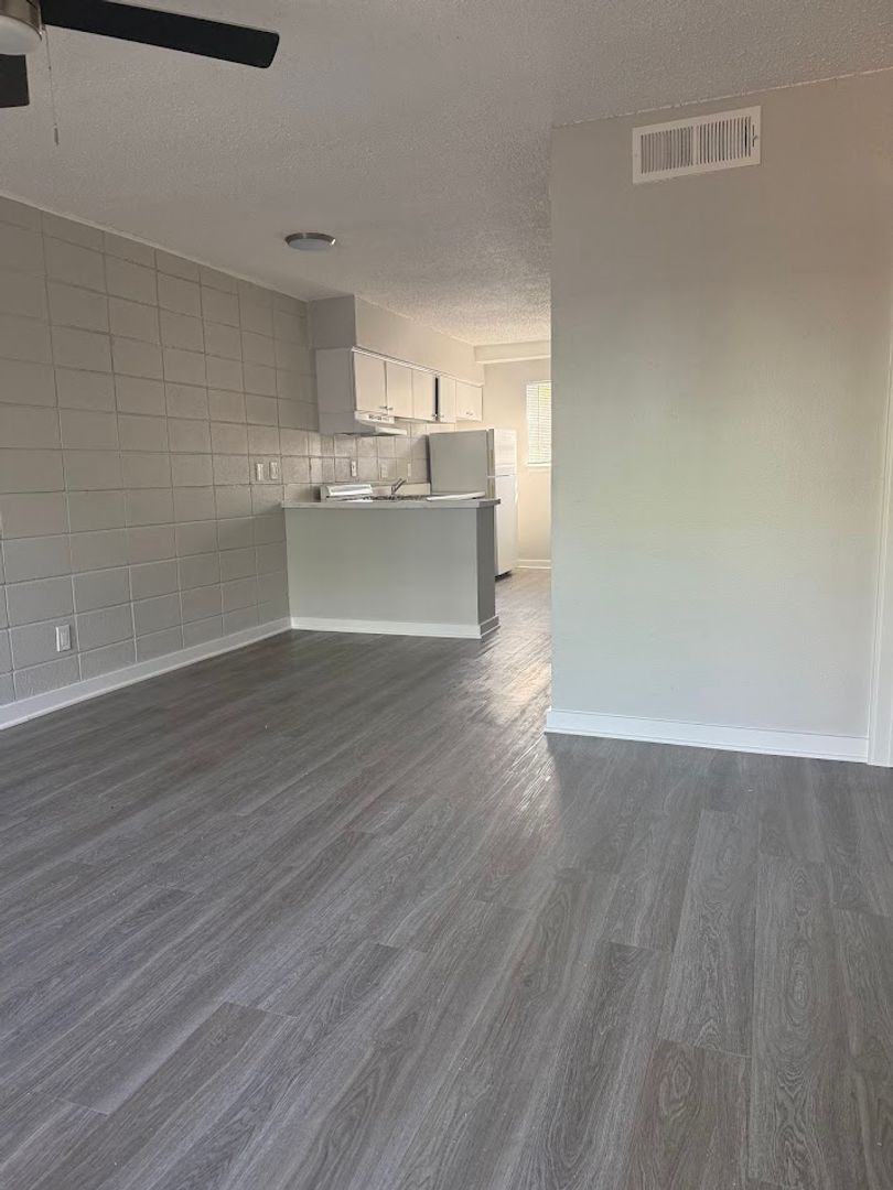Austin Apartment: 307 & 311 East 31st