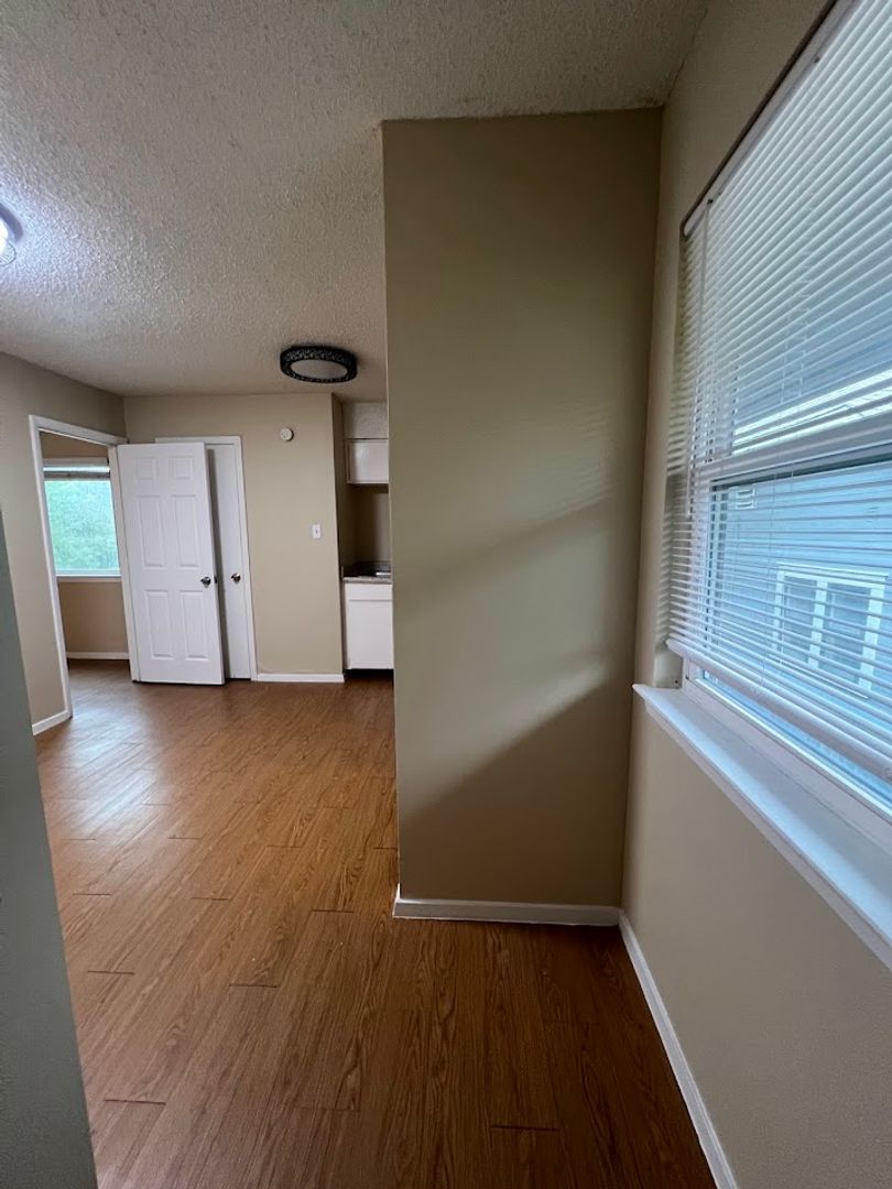 Austin Apartment: 202 East 32nd Street