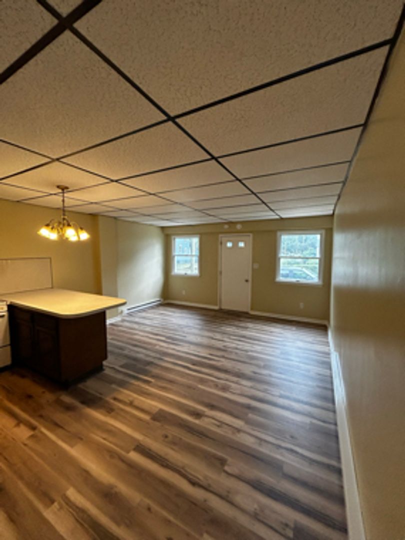 Kingston Apartment: 59 Price Street