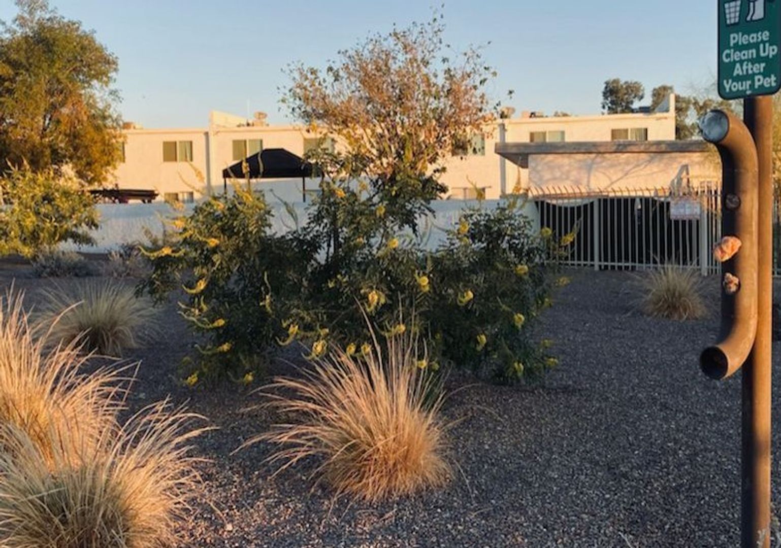 Shared outdoor space at H2O Apartments.