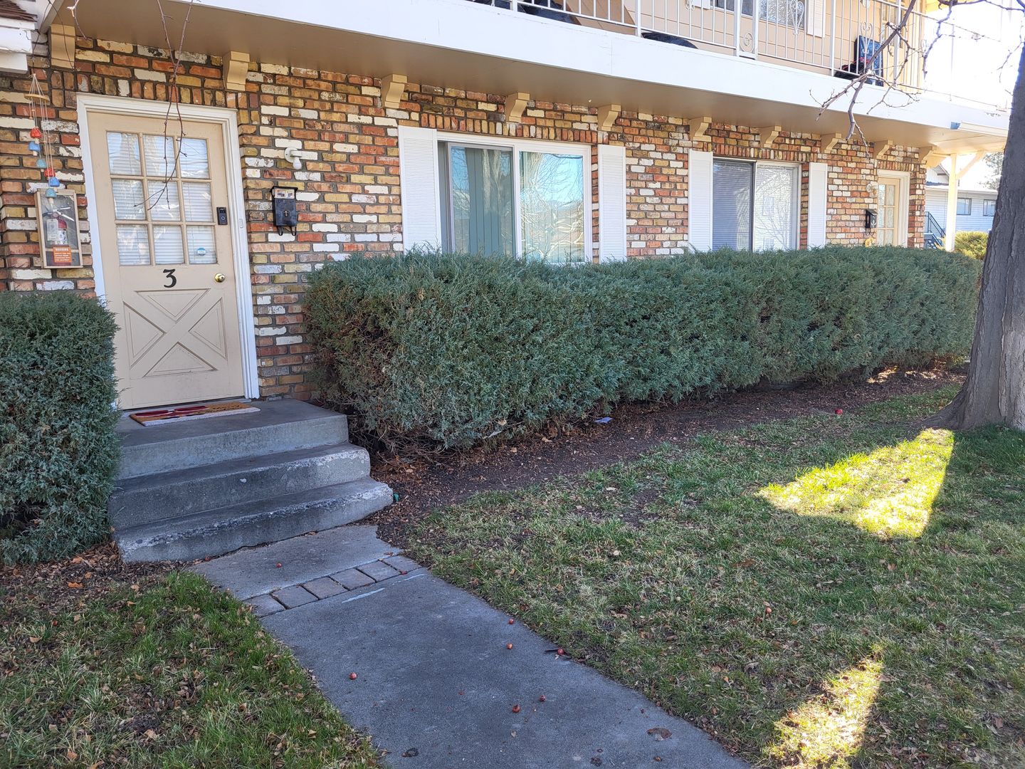 Carson City Apartment: 210 David Street