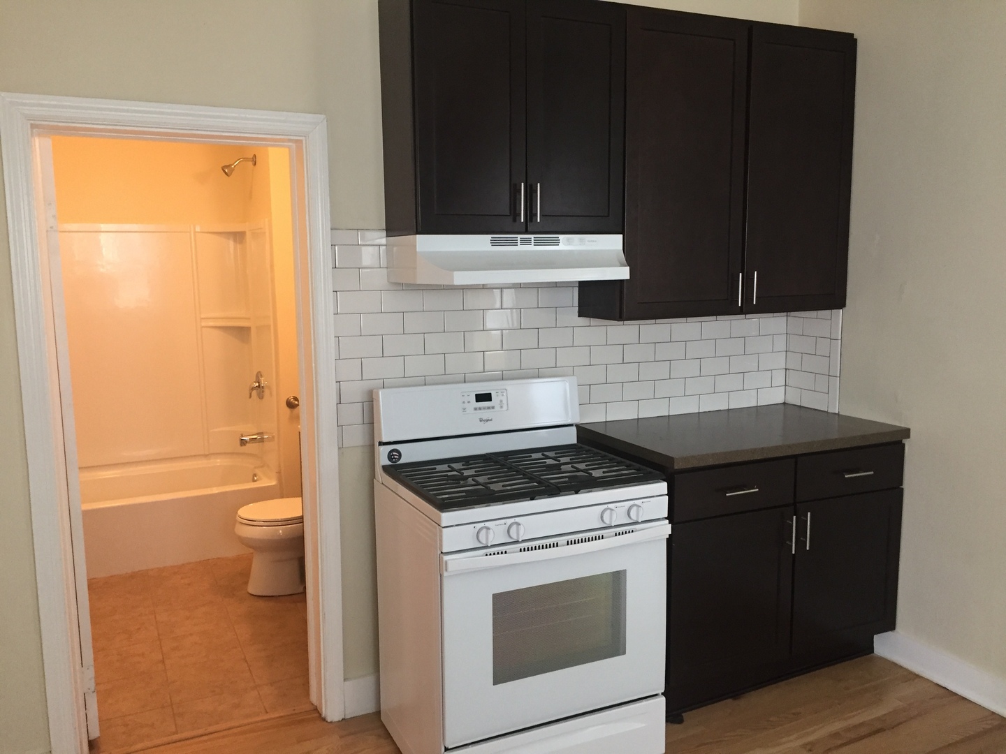 Milwaukee Apartment: 2564 N Humboldt Blvd