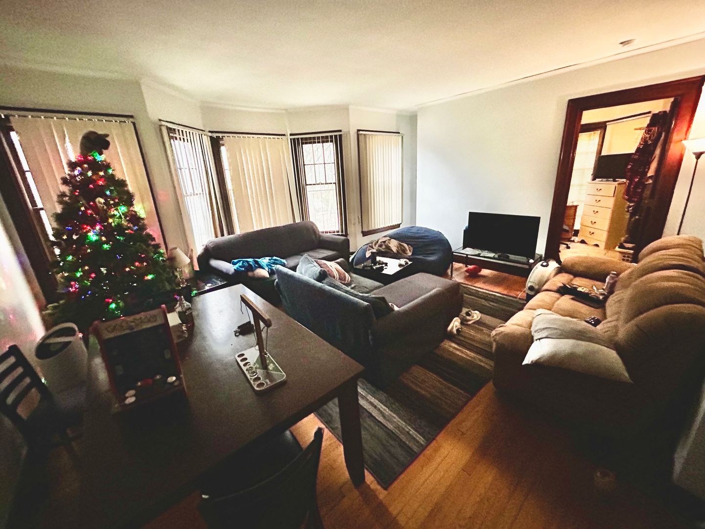 Ann Arbor Apartment: 1039 Baldwin