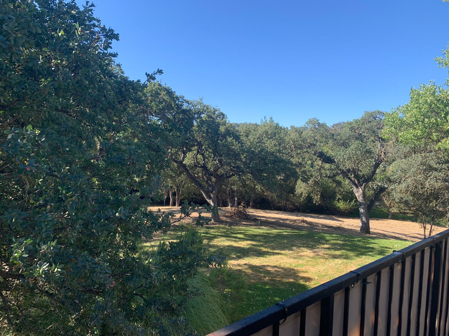 Paso Robles Apartment: 1227 Corral Creek Ave