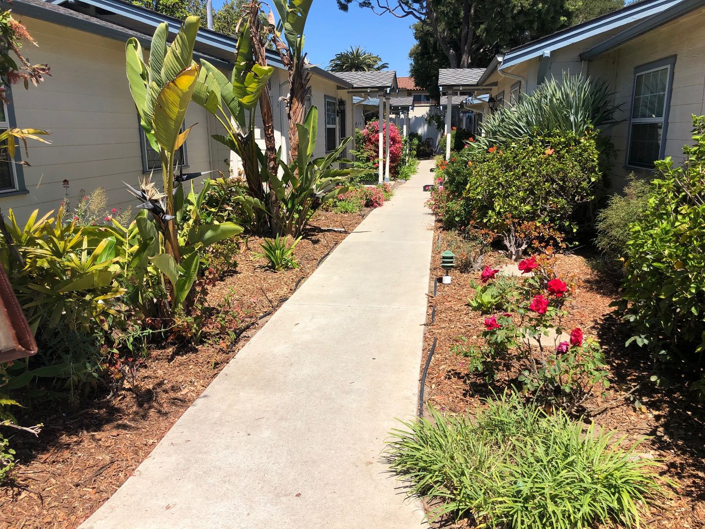 Santa Barbara Apartment: 915 East Gutierrez