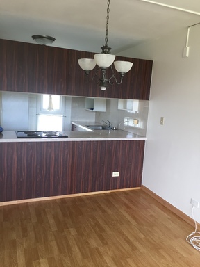 Nice 2-bedroom, 1-bath Salt Lake – photo 1