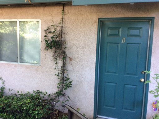 2 bedroom 1 bath 720 sq ft 1/2 plex in Olivehurst