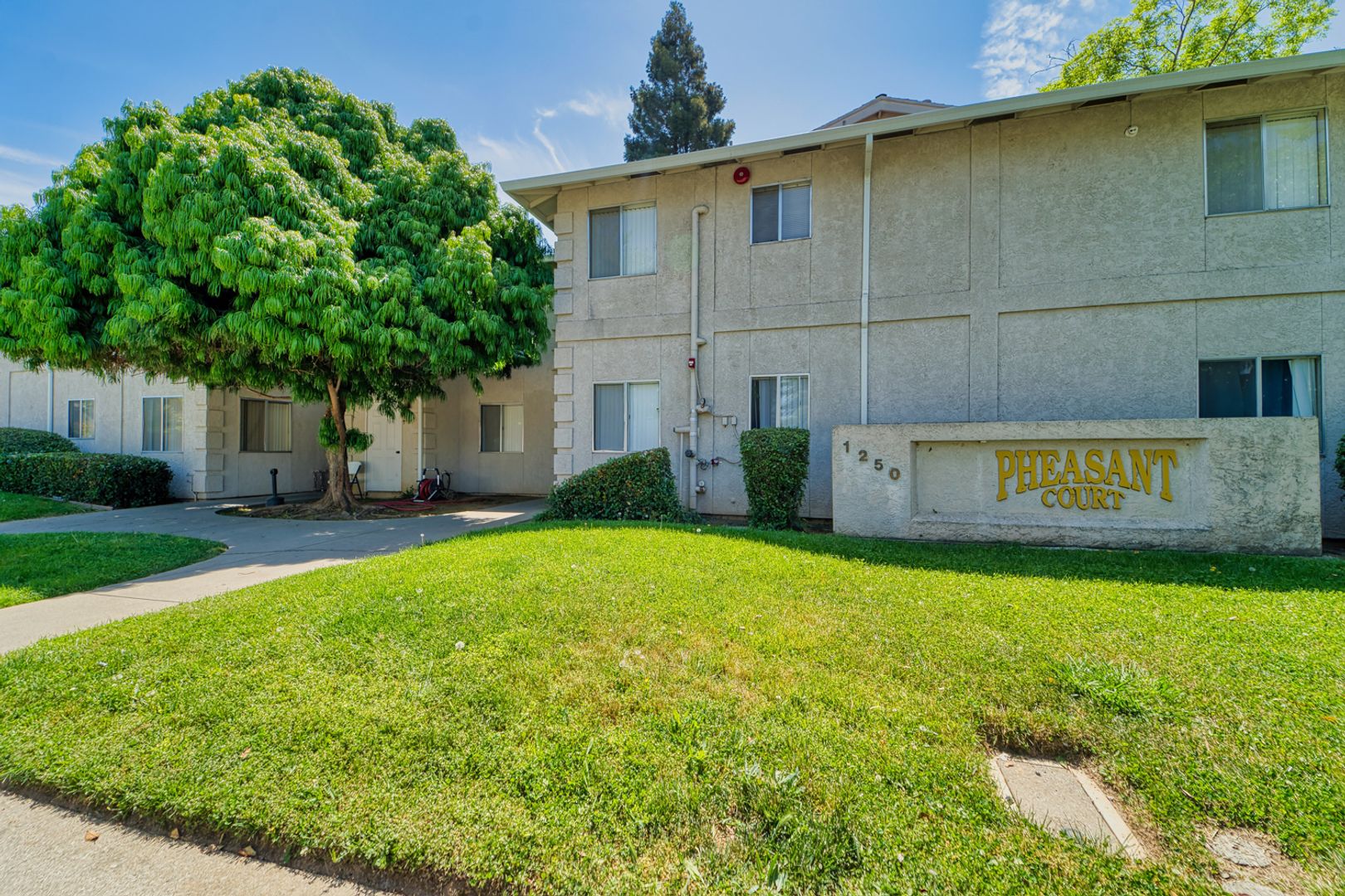 Yuba City Apartment: 1250 Melton Dr #1-32