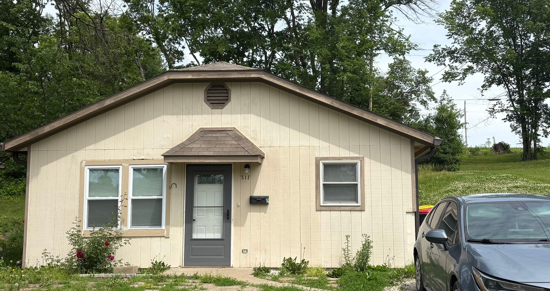 Excelsior Springs House: 317 Woods Ave
