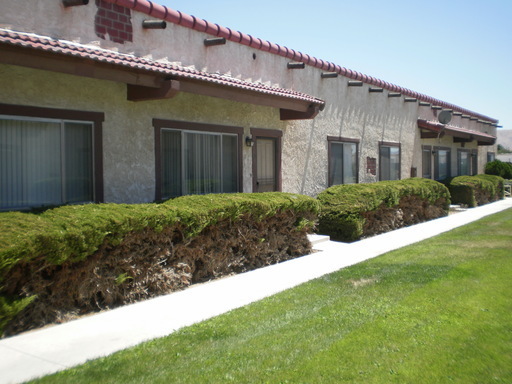2 BEDROOM 1 BATH APT ON CUL-DE-SAC IN APPLE VALLEY!!