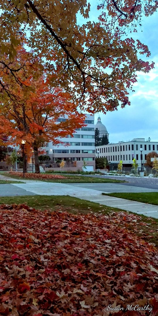 Olympia Apartment: 1517 Capitol Way S