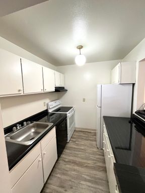 Renovated 1-Bedroom Bliss near Cornell | University Park – photo 1